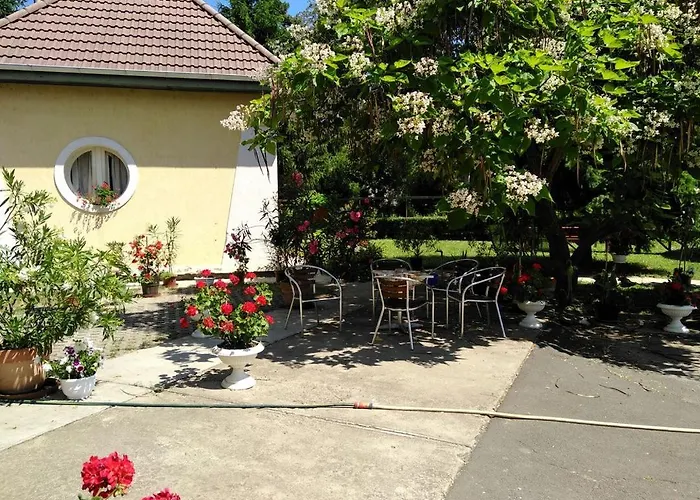 Harang Panzio 3* Gyomaendrőd